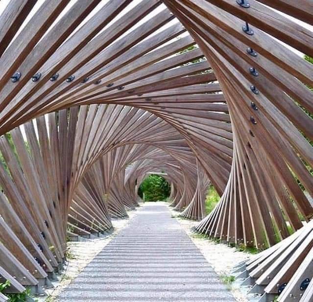 civil_struct's tweet photo. Walkway
#walkway #architecture #landscapephotography  #landscapelovers #woodworking #woodcraft https://t.co/6sqg2T5lCl