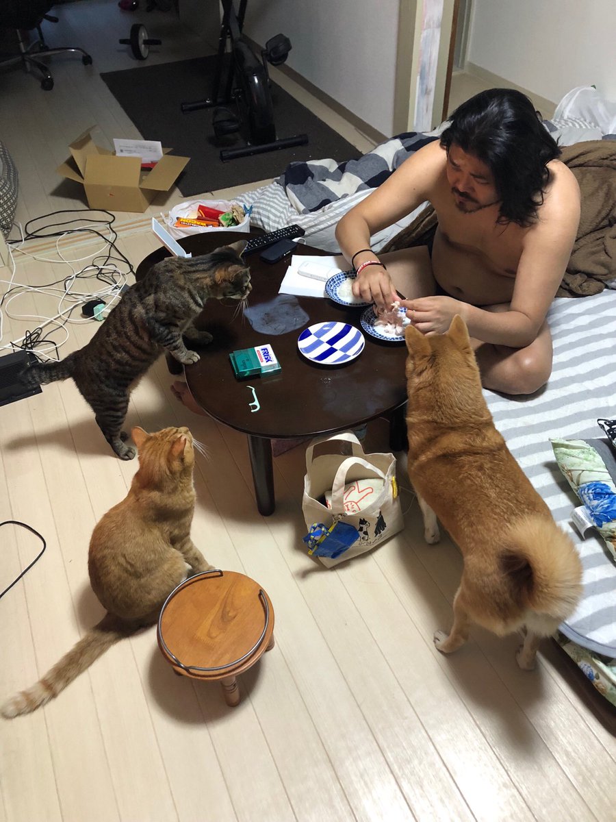 人畜有害大根おろし a.k.a 行旅生存人 tweet media