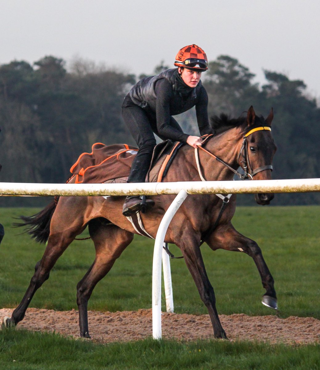 HeathHouseNkt's tweet photo. RUSHFORD (Danon Ballade x Cushat Law) makes his seasonal debut at @BrightonRace this afternoon for owners @stablemateagma. He is our first runner on the turf for 2022 &amp; we wish connections the best of luck.

#racehorses #horsesintraining #sirmarkprescott #turfseason https://t.co/S1zYjVpktC