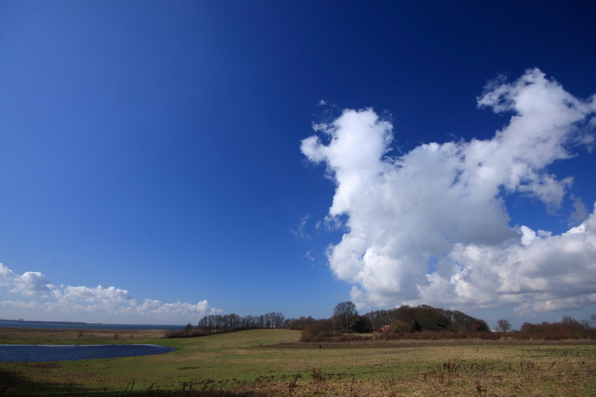Wat is dat met #wolken? De een ziet een kwispelende poedel en de ander een #cumulonimbus. 
Kom zondag 1 mei naar de workshop Wolk-en-stilte op de #Kraaienberg en beleef je omgeving  vanuit een ander perspectief.
meld je aan via bit.ly/3rSaBAJ