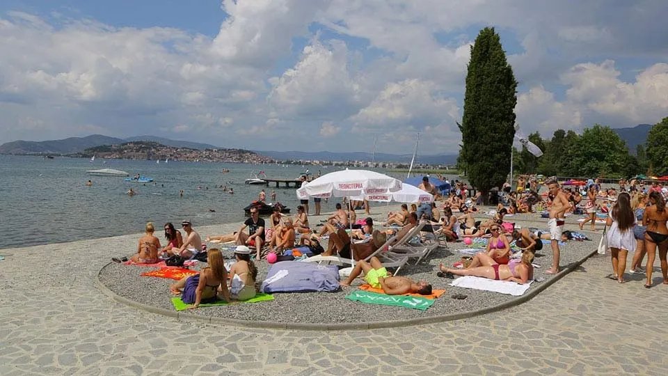 ISAE Congress 2022 tweet media