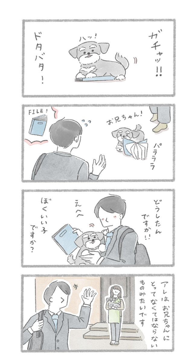 大切なもの
#こんにちはいぬです 