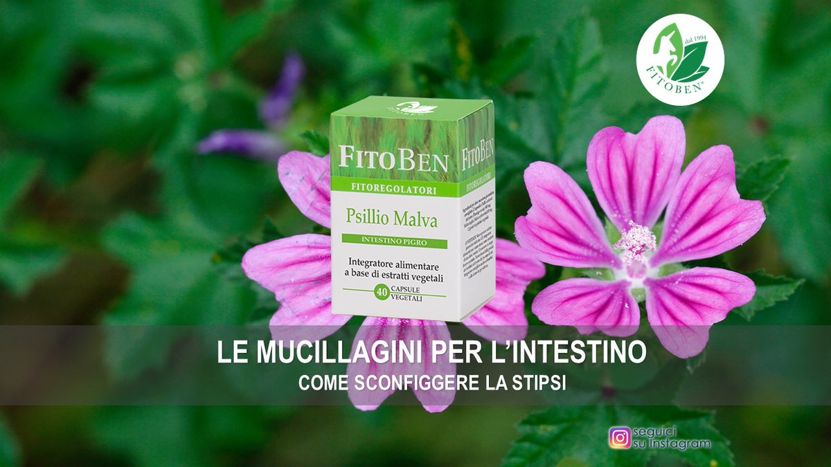 FitobenSrl's tweet photo. PsillioMalva è un rimedio naturale che stimola dolcemente l’#intestino facilitando l’evacuazione senza irritazione. Ricco di #mucillagini che ammorbidiscono le feci e diminuiscono le infiammazioni. Scoprilo qui 👉 https://t.co/Ap1Ah3PM2D https://t.co/MM1I2Scpin