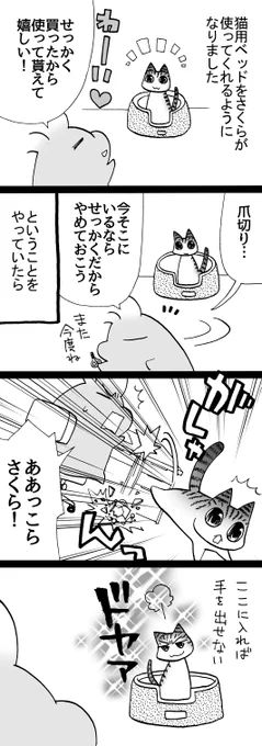 四コマ「安全地帯爆誕」

ドヤァ。
何かを落とした時、危ないので逃げてくれるのはありがたいです。

#御かぞくさま御いっこう #四コマ漫画 