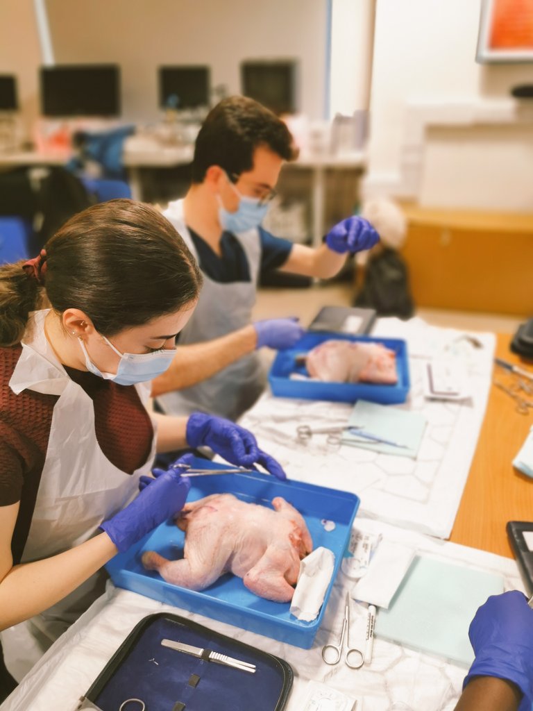 McmelonHelen's tweet photo. Following in the footsteps of @BaronLeSanj, the first mini sim session for our CTs and SHOs I organised at @MidYorkshireNHS was a hit!

Thanks to all who attended and helped out yesterday 🤓👍

This week was skin grafts, next month will be local flaps! https://t.co/MMMyB3OYd5