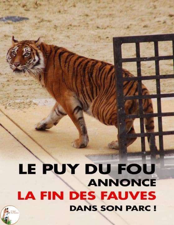 LigueDesAnimaux's tweet photo. ‼️BONNE NOUVELLE ‼️

le Puy du Fou annonce la fin des fauves dans son parc ! https://t.co/fCR4qgmayI