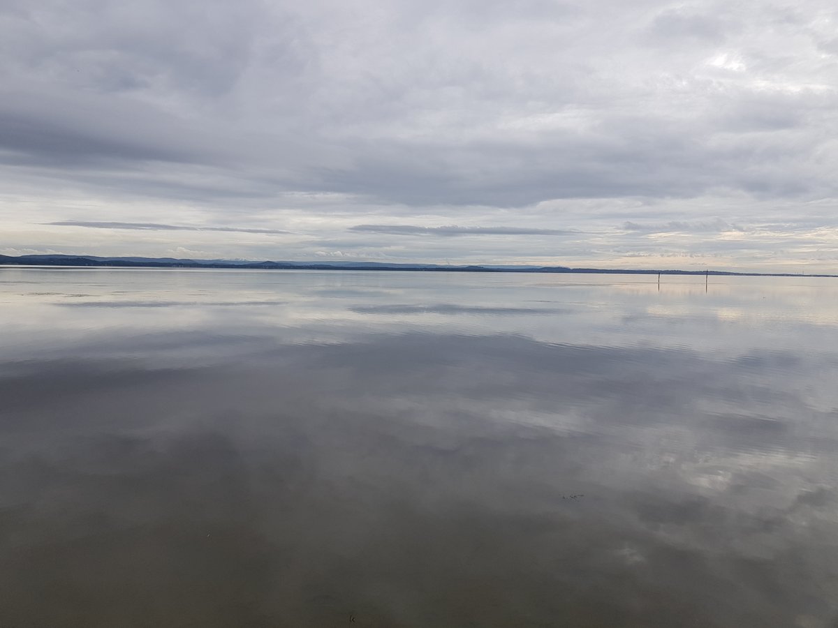 MIK's Reaction tweet media