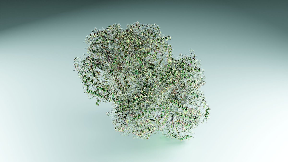 This 2.45 Å structure of a Providencia stuartii arginine decarboxylase along with a filamentous structure resolved in the same publication sheds light on the polymerisation mechanism by which these arginine decarboxylases form filaments. #cryoem #singleparticle #structuralbiology