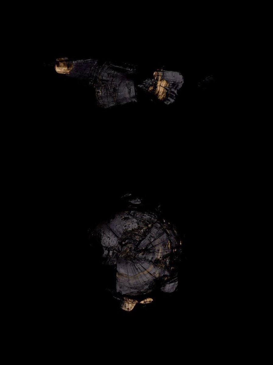 Anna Mikhem tweet media