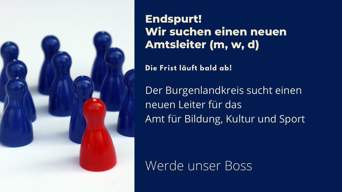 Der Burgenlandkreis sucht einen Leiter für das Amt für Bildung, Kultur und Sport. Wenn Ihr unser Big Boss werden wollt: kurzelinks.de/nmfw