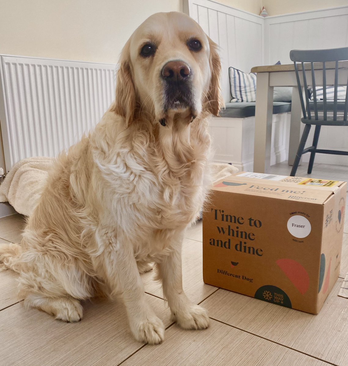 FraserGRMcD's tweet image. Hey ! Good snoozles? My new fave day has arrived......FOOD DELIVERY DAY! Wish Mum wouldn't take my pic tho, so I can just get in there &amp;amp; monch! 😂 Had yummy breakfast, so some good walksies &amp;amp; swims later on! Have a lovely day 😘❤️🐾 @_differentdog #differentdog #dogsoftwitter