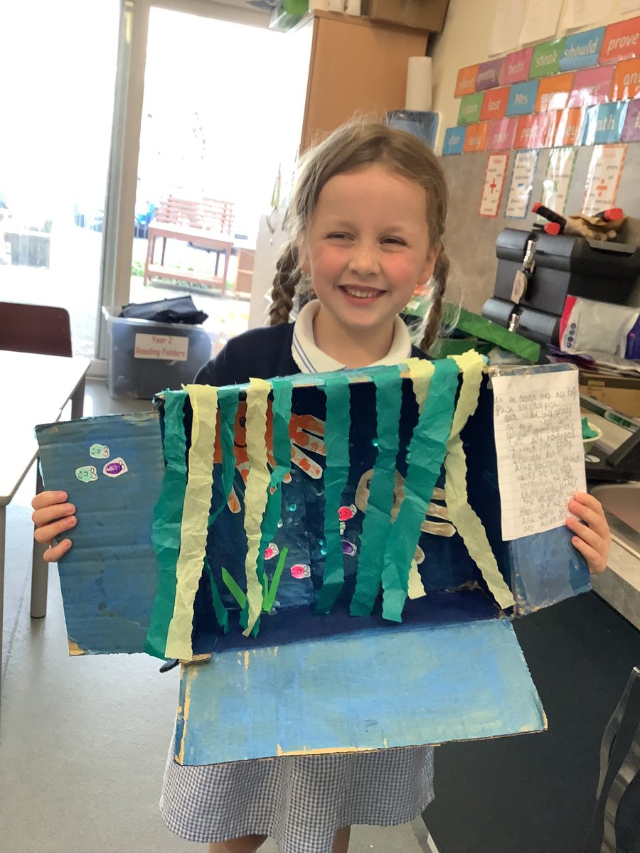 Some of Year 1 and 2s habitat science projects!👩‍🔬🧑‍🔬🌊🌳🐍🐝