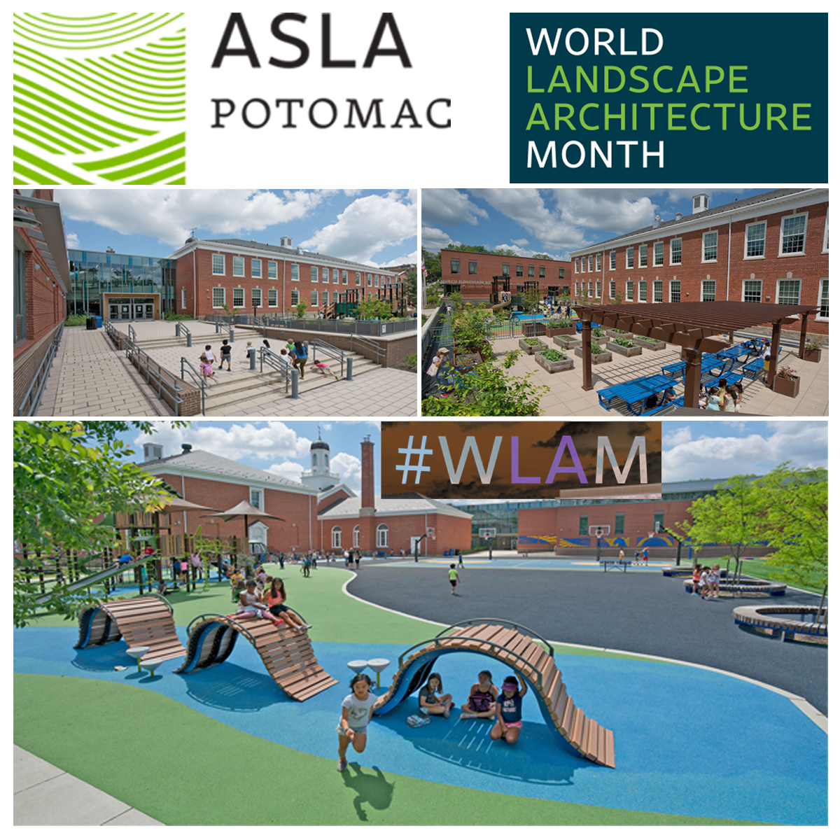 Potomac ASLA tweet media