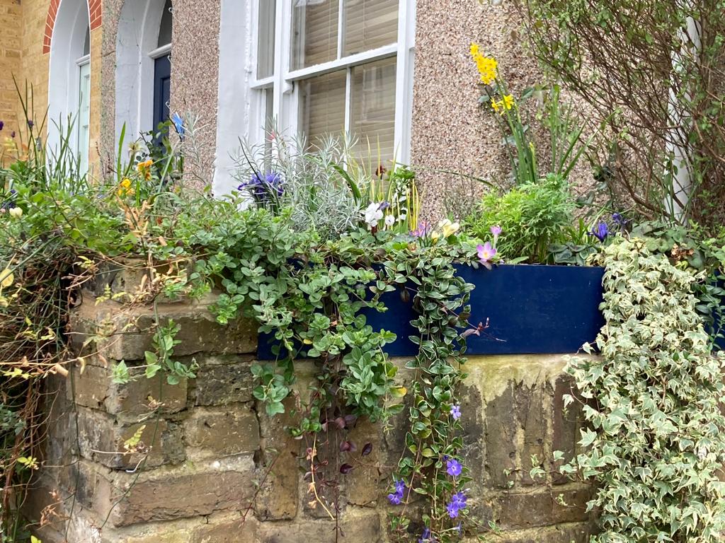 living_windows's tweet photo. Even the smallest of spaces can be bountiful gardens!
#windowboxesofinstagram #windowboxgarden #windowboxgoals #containergardening #containergardeningideas #gardeninspiration #flowersofinstagram #flowersoflondon #londonlife #windowboxwednesday #londongarden https://t.co/TBkaRFUwwR