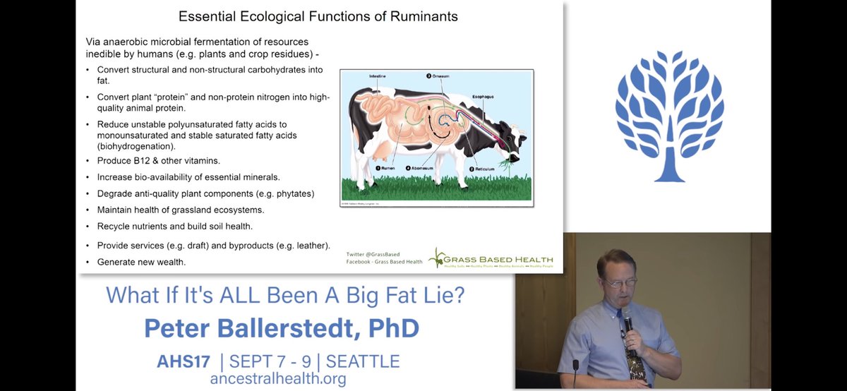 XRPBuddy 🇱🇺 tweet media