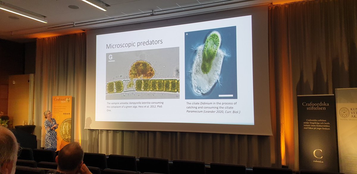 Fascinating talk by S. Porter on the rise of eukaryotes and vampire amoeba. Love it. #crafoordprize