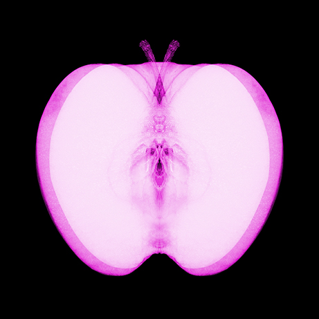 thomasrousing's tweet photo. Get your #NFT Apple Butterflies here:
https://t.co/3jwcidFr9a
Don't miss out!
On sale @spaceseven_nft #NFTmarketplace minted on @concordium #Blockchain
#NFTCollection #NFTCommumity #nftart #NFTartist #spaceseven #concordium #CCD https://t.co/un0QtJmzP5