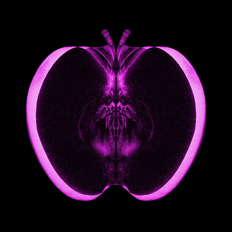 thomasrousing's tweet photo. Get your #NFT Apple Butterflies here:
https://t.co/3jwcidFr9a
Don't miss out!
On sale @spaceseven_nft #NFTmarketplace minted on @concordium #Blockchain
#NFTCollection #NFTCommumity #nftart #NFTartist #spaceseven #concordium #CCD https://t.co/un0QtJmzP5