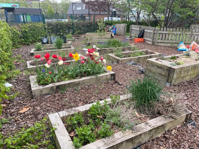LowfieldPrimary's tweet photo. Thank you to the gardening club for making our garden so attractive. Mrs Bennett, Ms Fray and the children are doing a great job! https://t.co/vT842iVLjB