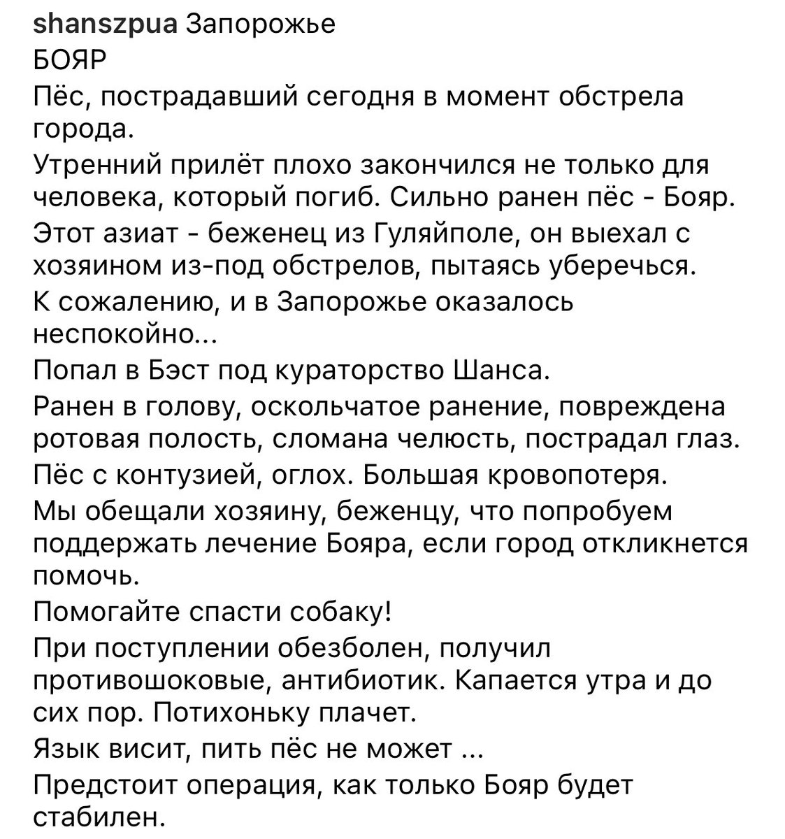 pinkertosh's tweet photo. Допоможіть песику, який сьогодні постраждав від роснявої ракети :(( https://t.co/0exwDgpp5A https://t.co/sTjk5gkH3v