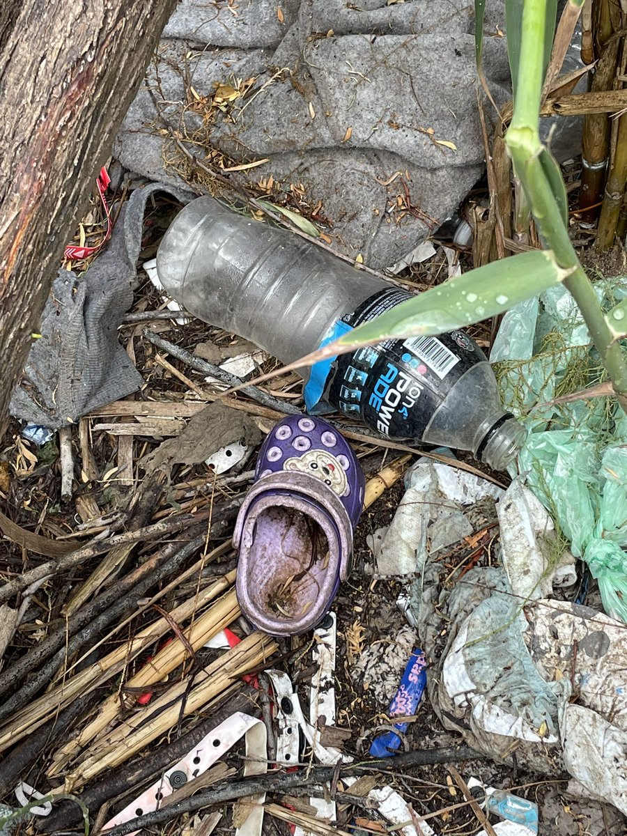 Guy Benson tweet media