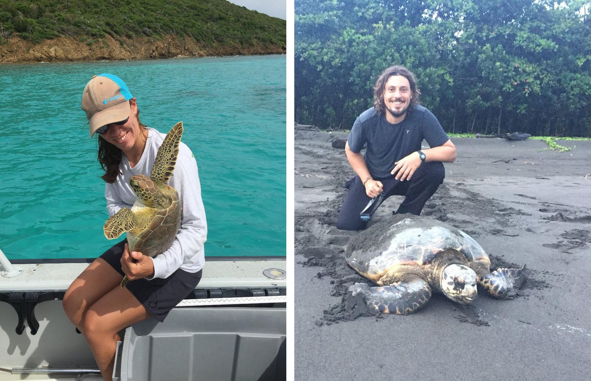 Department of Biology graduate students, @AlexandraGulick and Renato Bruno (Bjorndal Lab/Archie Carr Center for Sea Turtle Research), received best student poster and best student talk awards, respectively, at the International Sea Turtle Symposium! @UFBiology @UF_CLAS