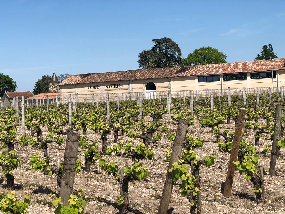 Patriwine's tweet photo. [Semaine des primeurs ] Jour 1

Nous l’attendions avec impatience… la semaine des primeurs a débuté !
Pour ce premier jour, nous étions présent au Château LaTour-Martillac pour déguster les Pessac-Léognan du millésime 2021. https://t.co/SZKDAv4SZo