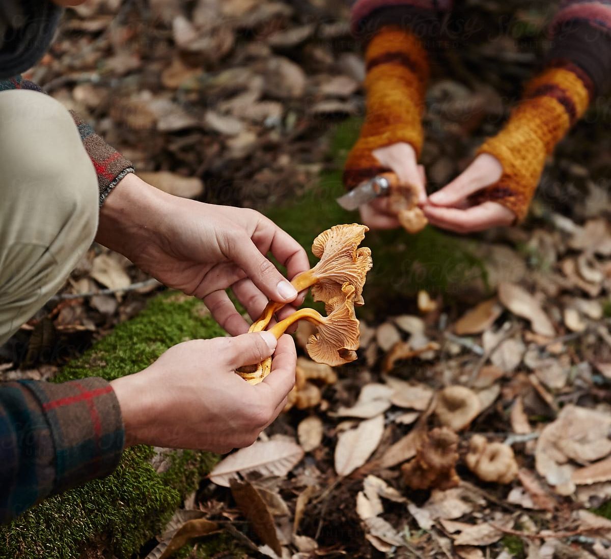ValleyViewUs's tweet image. Forest Foraging, Meditation, Outdoor Yoga and the Flower Moon Hike all happening this spring - join us!
conta.cc/3LnD1dK
conta.cc/3EM7m38