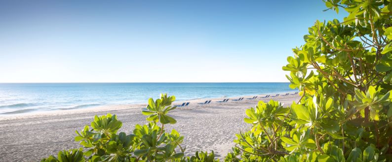 A digital gift card to Pelican Grand is a great way to surprise mom or dad this holiday. Share the love for oceanfront tranquility with someone special.

fal.cn/3o5UW

#pelicangrandbeachresort #fortlauderdalebeach #mothersday #fathersday #noblehousehotels