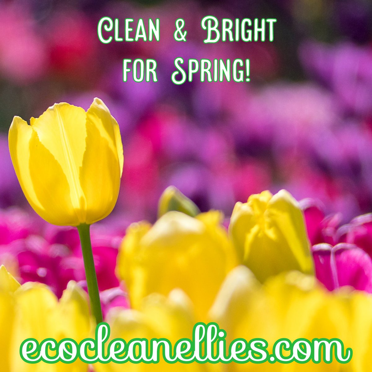 EcoCleanEllies's tweet photo. You want to spend some time enjoying the outdoors, not cleaning the house! Contact https://t.co/GjZalGzQc3 to set up a Top to Bottom Deluxe Clean! Your home will be clean &amp; bright, and you can enjoy your day. #Springtime #springcleaning #cleanandbright #choresdone #enjoyyourself https://t.co/W0M8XbSo16