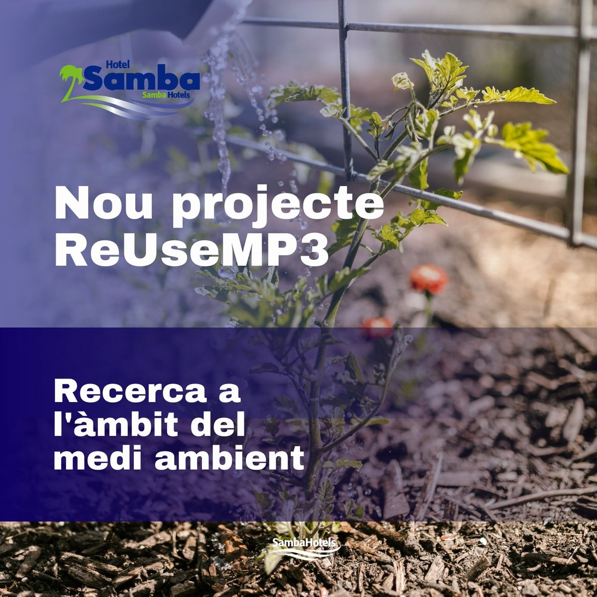 Samba Hotels tweet media