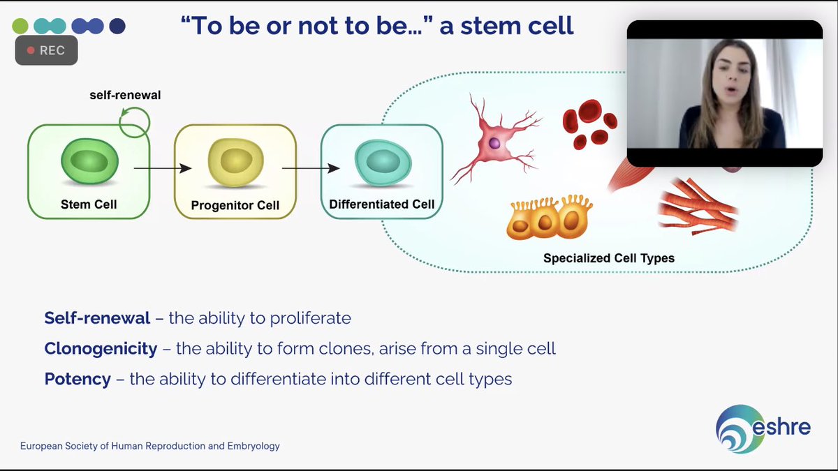 juanjo_fraire's tweet photo. An overview of stem cells! ⁦@SigStemCells⁩ ⁦@mina_popovic_⁩ #ESHREssentials https://t.co/K0fmtmR9sz