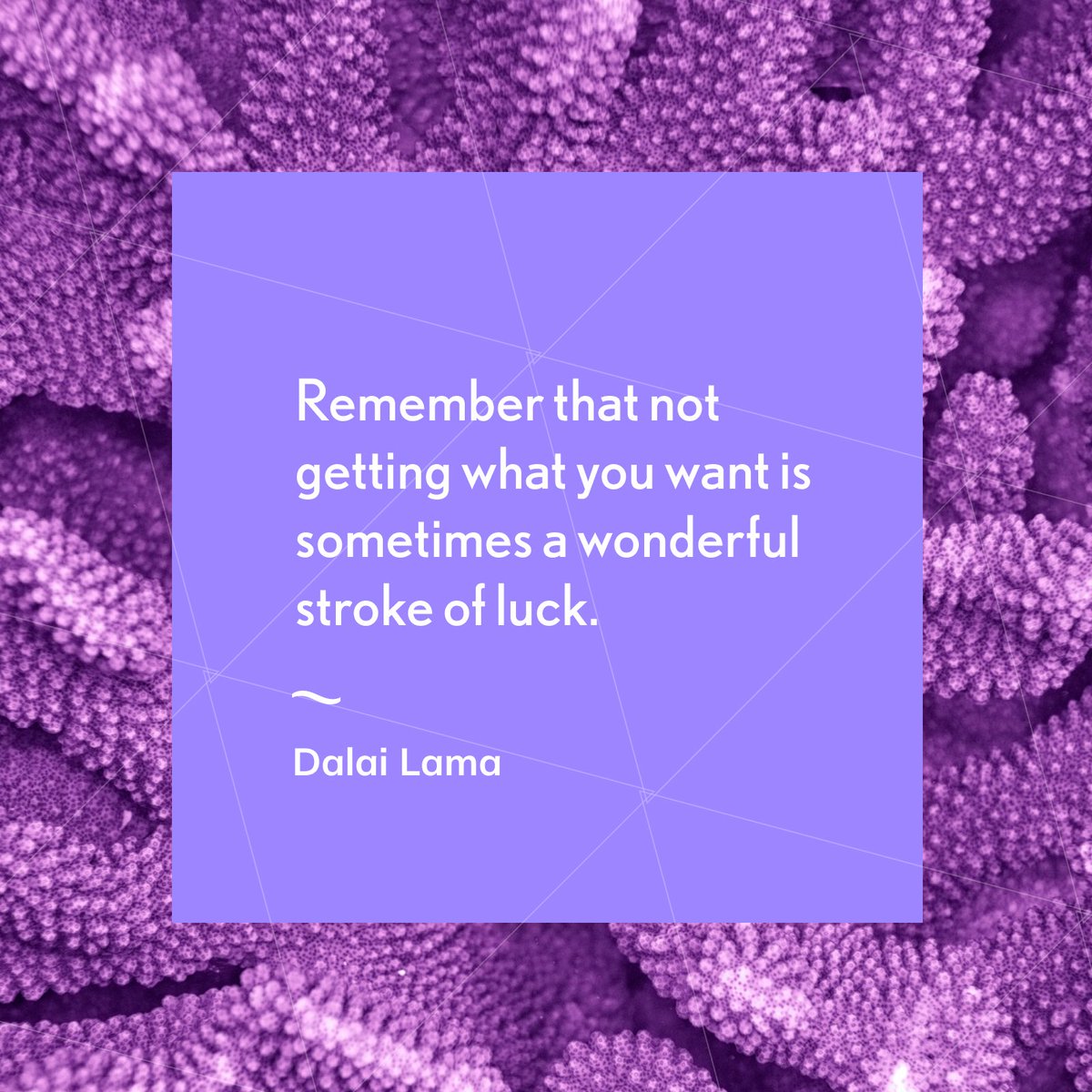 pathdrummer's tweet image. 