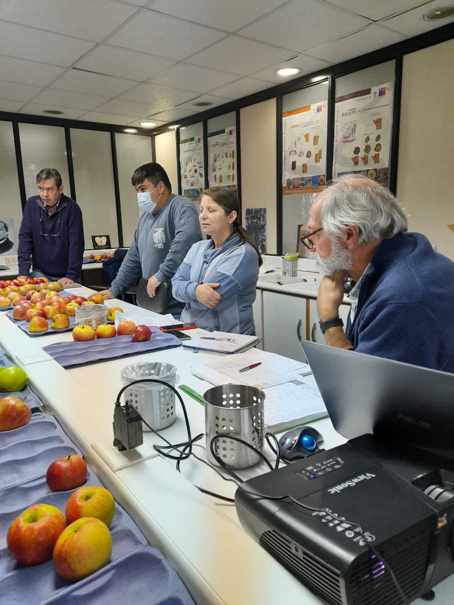 Excelente jornada de presentación lineas avanzadas del PMG Manzano, obteniendo resultados de años de trabajo <a href="/INIAQuilamapu/">INIA Quilamapu</a> <a href="/iniachile/">INIA Chile</a> <a href="/ConsorcioFruta/">ConsorciodelaFruta</a> <a href="/carlahahnb/">CARLA HAHN BRENDEL</a>
