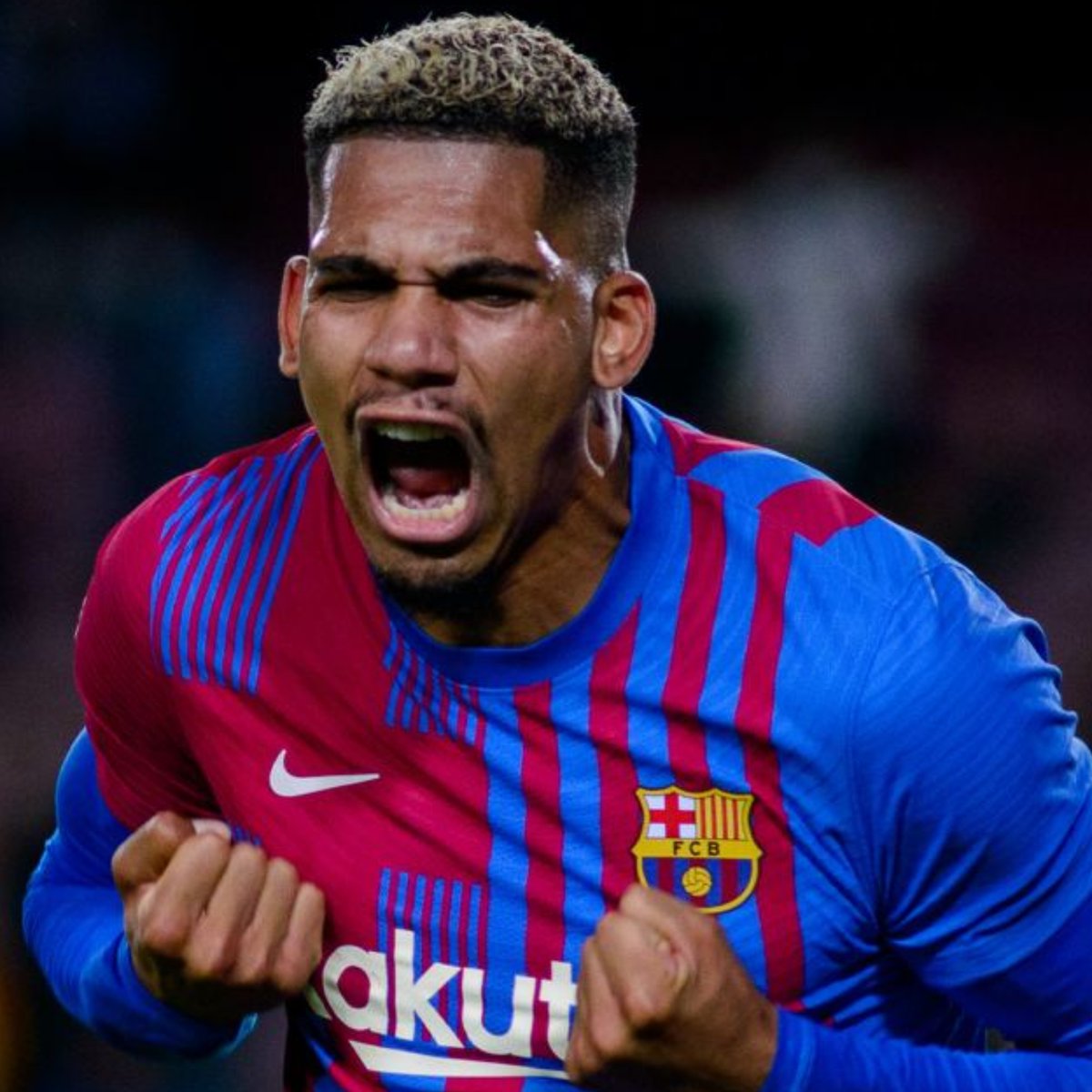 Invictos tweet media