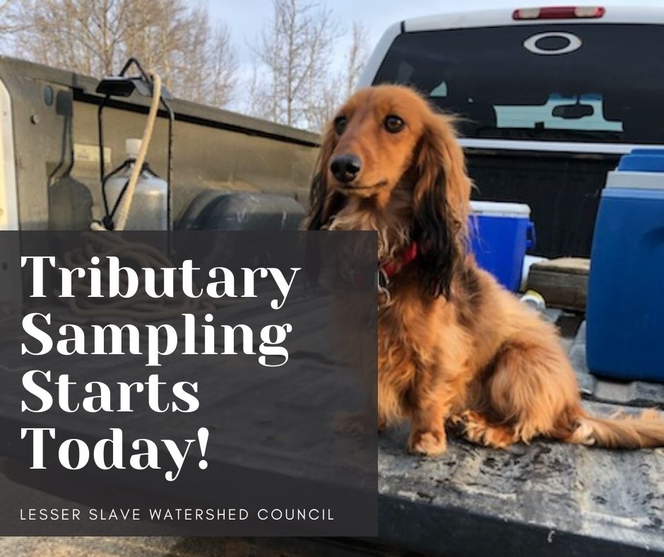 abLSWC's tweet photo. Year 6 of the LSWC's Tributary Monitoring Program starts today! Keep an eye out for our Watershed Wiener mascot and staff along roadsides and bridges throughout the watershed! #abwater #sampling #river #waterquality #monitoring #watershedwiener #phildog #mascot https://t.co/QW0gH85LZK