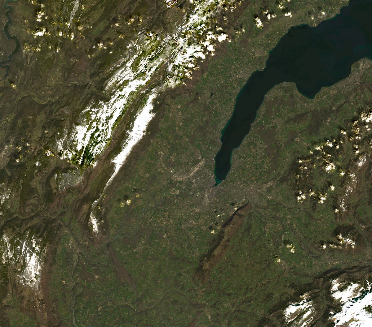 SwissDataCube (@swissdatacube) on Twitter photo #landsat9 data are now available in the #SwissDataCube!
Read more at: swissdatacube.org/index.php/2022…
...continuing the longest #EarthObservation data archive
@unige_ise <a href="/sciences_UNIGE/">Faculty of Science | UNIGE</a> <a href="/GRIDgva/">UNEP/GRID-Geneva</a> @foenCH <a href="/UZH_ch/">Universität Zürich</a> <a href="/WSL_research/">WSL Umweltforschung @wslresearch.bsky.social</a> #landsat9 data are now available in the #SwissDataCube!
Read more at: swissdatacube.org/index.php/2022…
...continuing the longest #EarthObservation data archive
@unige_ise <a href="/sciences_UNIGE/">Faculty of Science | UNIGE</a> <a href="/GRIDgva/">UNEP/GRID-Geneva</a> @foenCH <a href="/UZH_ch/">Universität Zürich</a> <a href="/WSL_research/">WSL Umweltforschung @wslresearch.bsky.social</a>