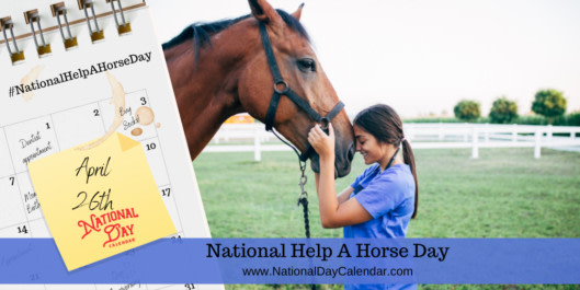 NationalDayCalendar tweet media