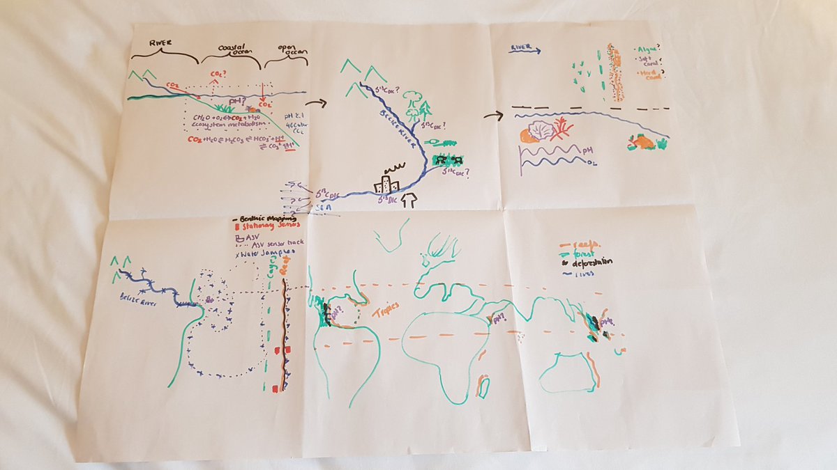 SarahECryer's tweet image. Final #NEXUSS PhD training - today we had to storyboard our thesis in 15 minutes... it got a little rushed  😅