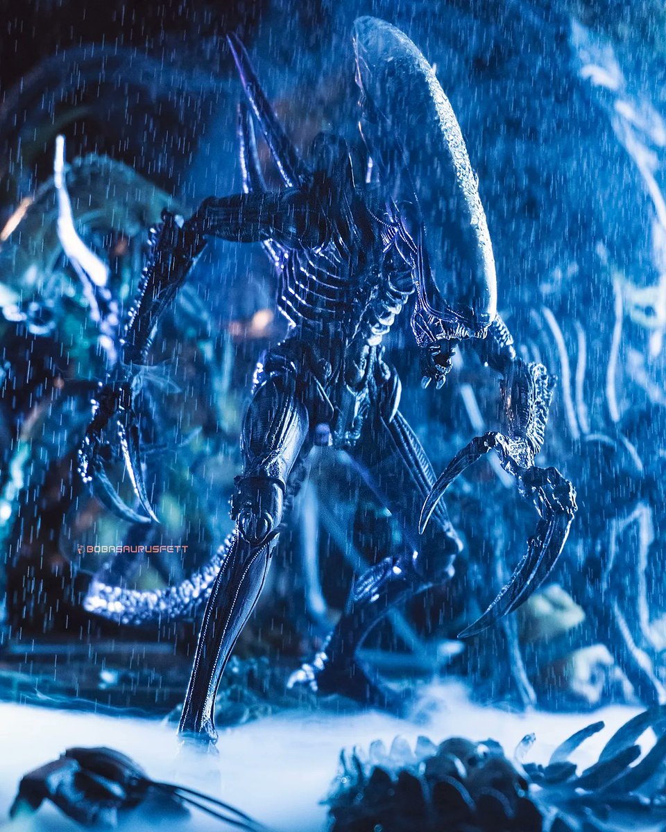 LordBobasaurus tweet media