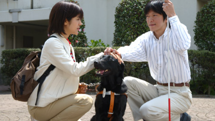 vuran_vuran's tweet photo. 1989年4月12日の水曜日、#国際盲導犬学校連盟(現 #国際盲導犬連盟/#IGDF)が発足したことにちなみ、毎年4月の最終水曜日は「#国際盲導犬の日」だそうです。今年は今日、4月27日になります。
画像は『盲導犬クイールの一生』『パートナーズ』『ベルナのしっぽ』『ブラインド』#盲導犬 #GuideDog https://t.co/hBCXNF6Zlt