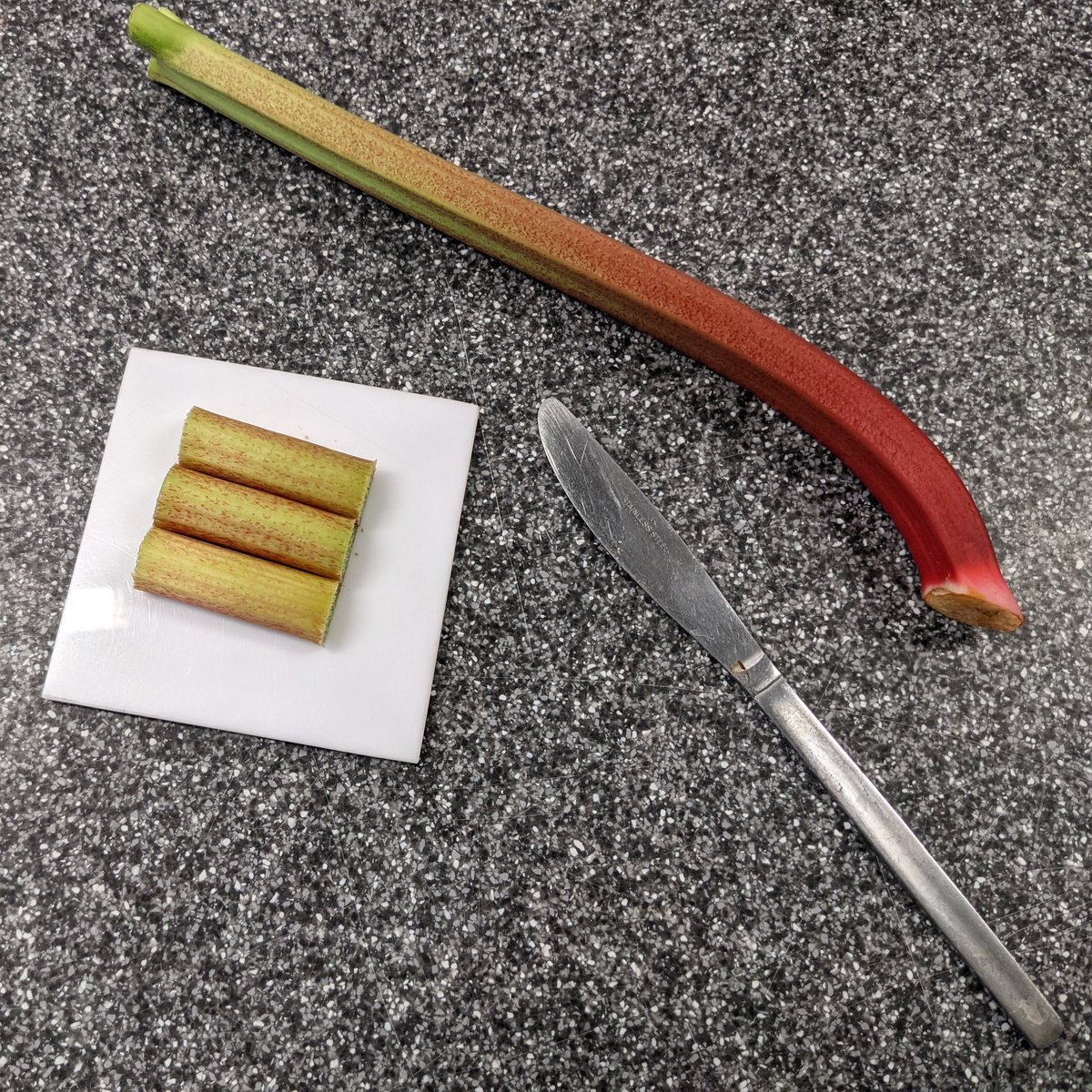 Paul_SciTeach's tweet photo. Looked at rates of reaction in #ScienceClub using rhubarb today 👨‍🔬👩‍🔬 https://t.co/KgSe0NPdiA