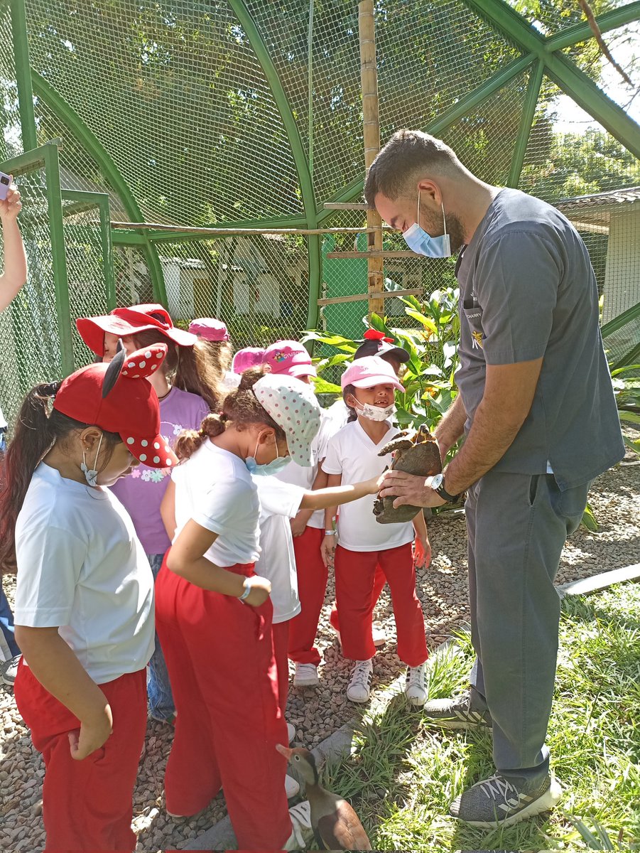 CAMHUILA's tweet photo. Como parte del Novus Proyect de @AspaenYumana en el que las niñas aprenden sobre germinación, 🌱 siembra, cosecha y recolección, las estudiantes del grado primero 👧👩conocieron la experiencia del más grande centro de educación ambiental: nuestro Sendero #SendiCAM #Neiva 🐢🦜🦆 https://t.co/PvqooTaWmC