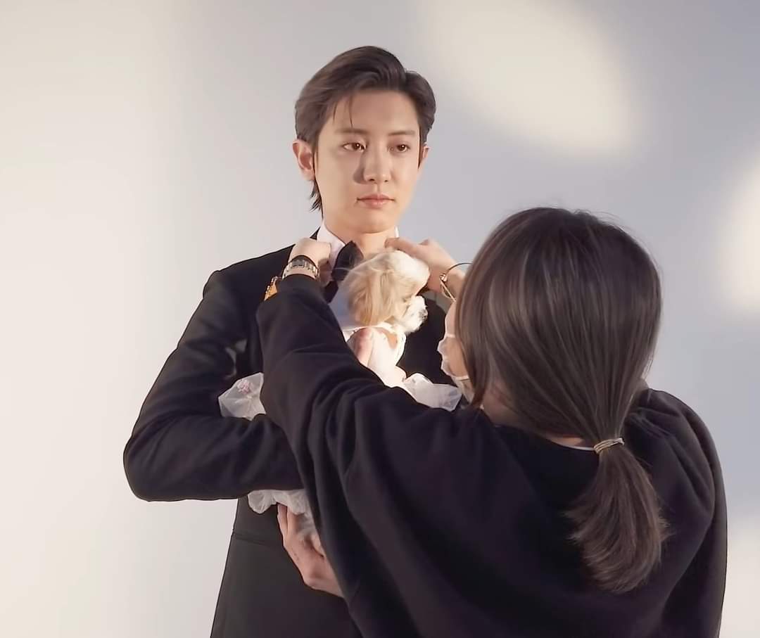 baeklaaah's tweet photo. EVERY EXO-Ls DREAM JOB https://t.co/5lws50saLj