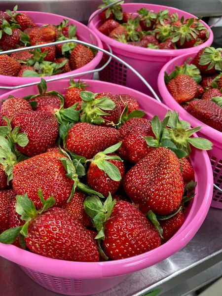 Marshall County CNP tweet media