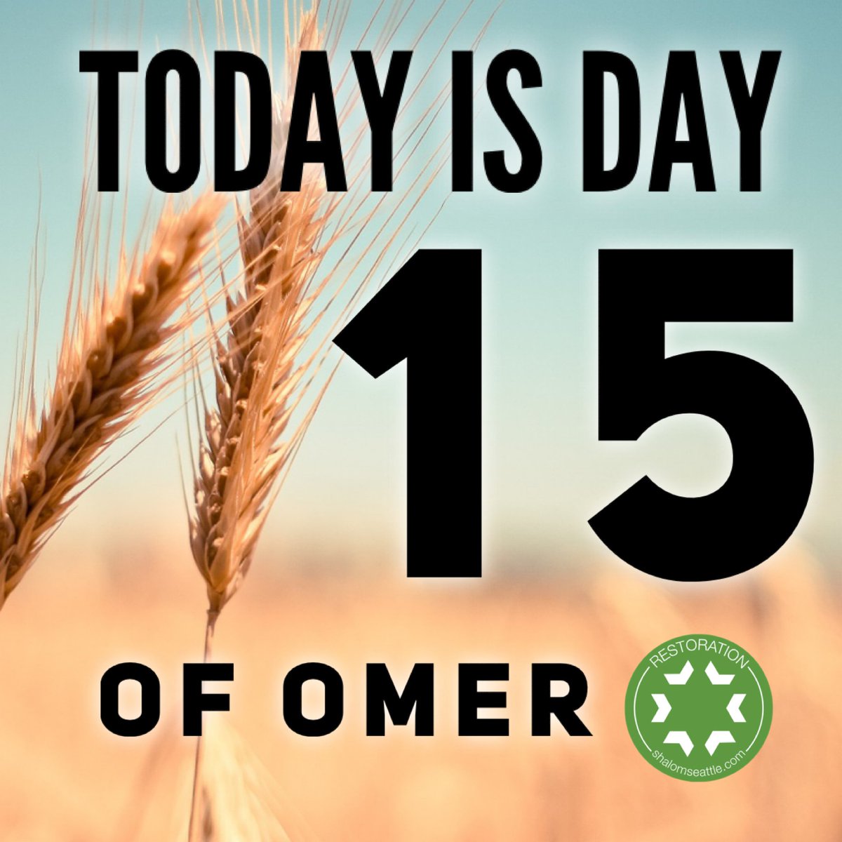 ravmatt's tweet photo. Day 15. According to Leviticus 23, we are commanded to count 50 days from Passover to Shavuot.

#passover #pesach #shavuot #pentecost #restorationseattle #jewish #messianic #jewishinseattle https://t.co/B8ey0J0mlB