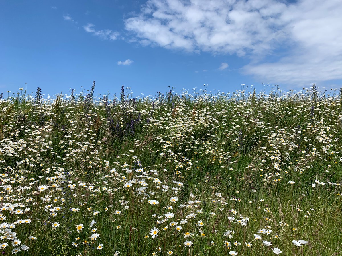 Another exciting vacancy, this time in our admin team #cumbria <a href="/NCICNHS/">North Cumbria Integrated Care NHS Foundation Trust</a> #carlisle 
ncic.nhs.uk/careers/curren…
