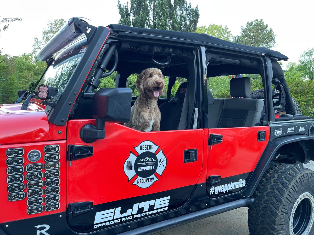 WaypointX's tweet photo. Rubi said the weather is beautiful and it’s time to go for a ride!  #waypointx #whereisyournextdestination #offroad #jeepdog #doodlesofinstagram #jeepdoodle https://t.co/KzUOD19mdM
