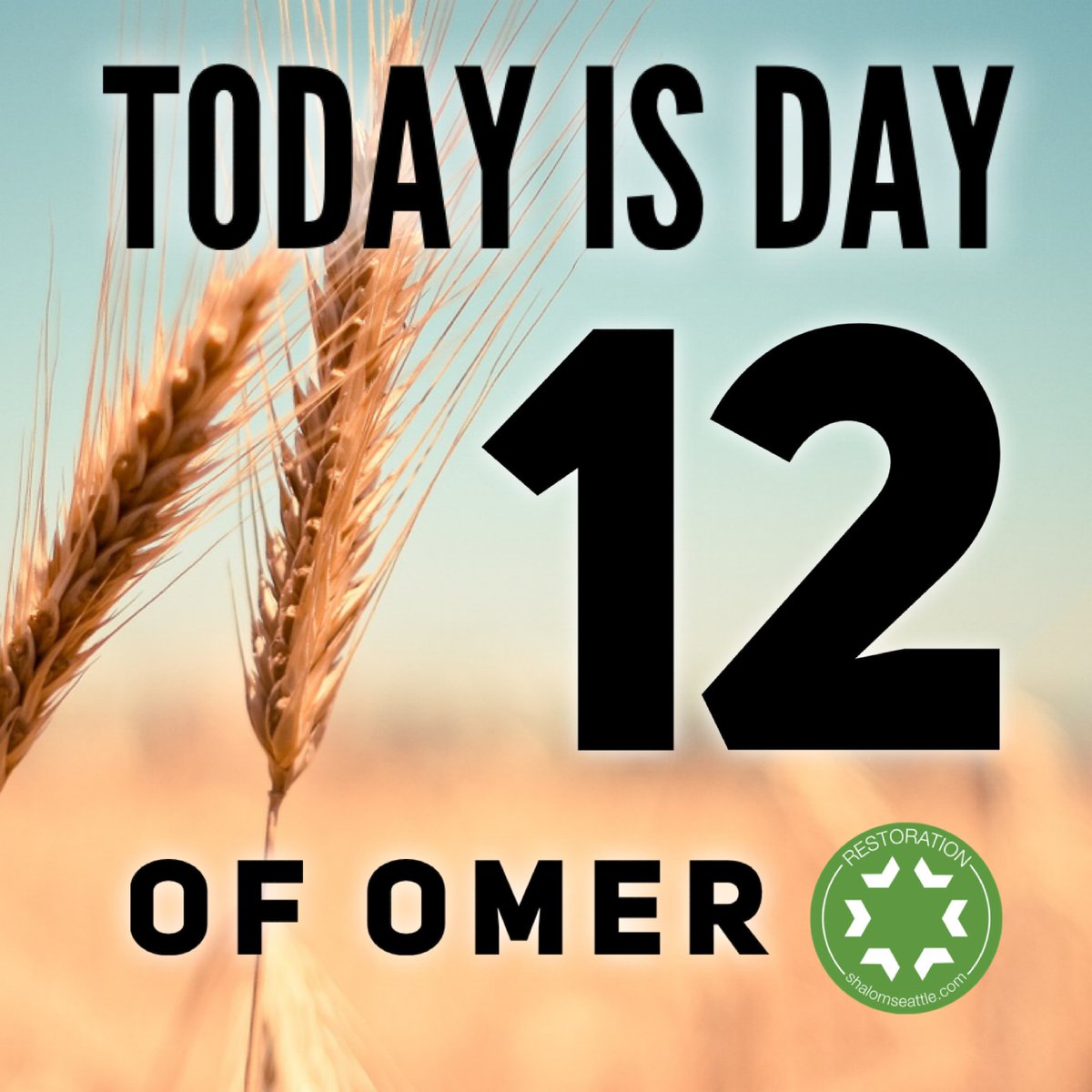 RestoreSeattle's tweet photo. Day 12. According to Leviticus 23, we are commanded to count 50 days from Passover to Shavuot.

#passover #pesach #shavuot #pentecost #restorationseattle #jewish #messianic #jewishinseattle https://t.co/lct813QS77