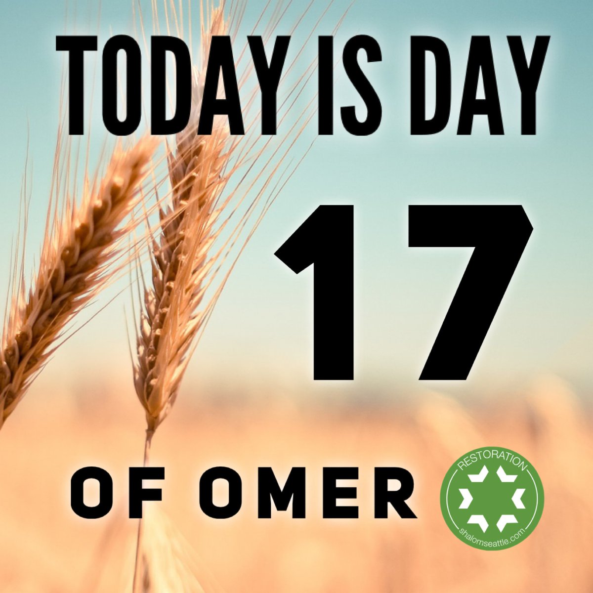 RestoreSeattle's tweet photo. Day 17. According to Leviticus 23, we are commanded to count 50 days from Passover to Shavuot.

#passover #pesach #shavuot #pentecost #restorationseattle #jewish #messianic #jewishinseattle https://t.co/skzTRN6kdd